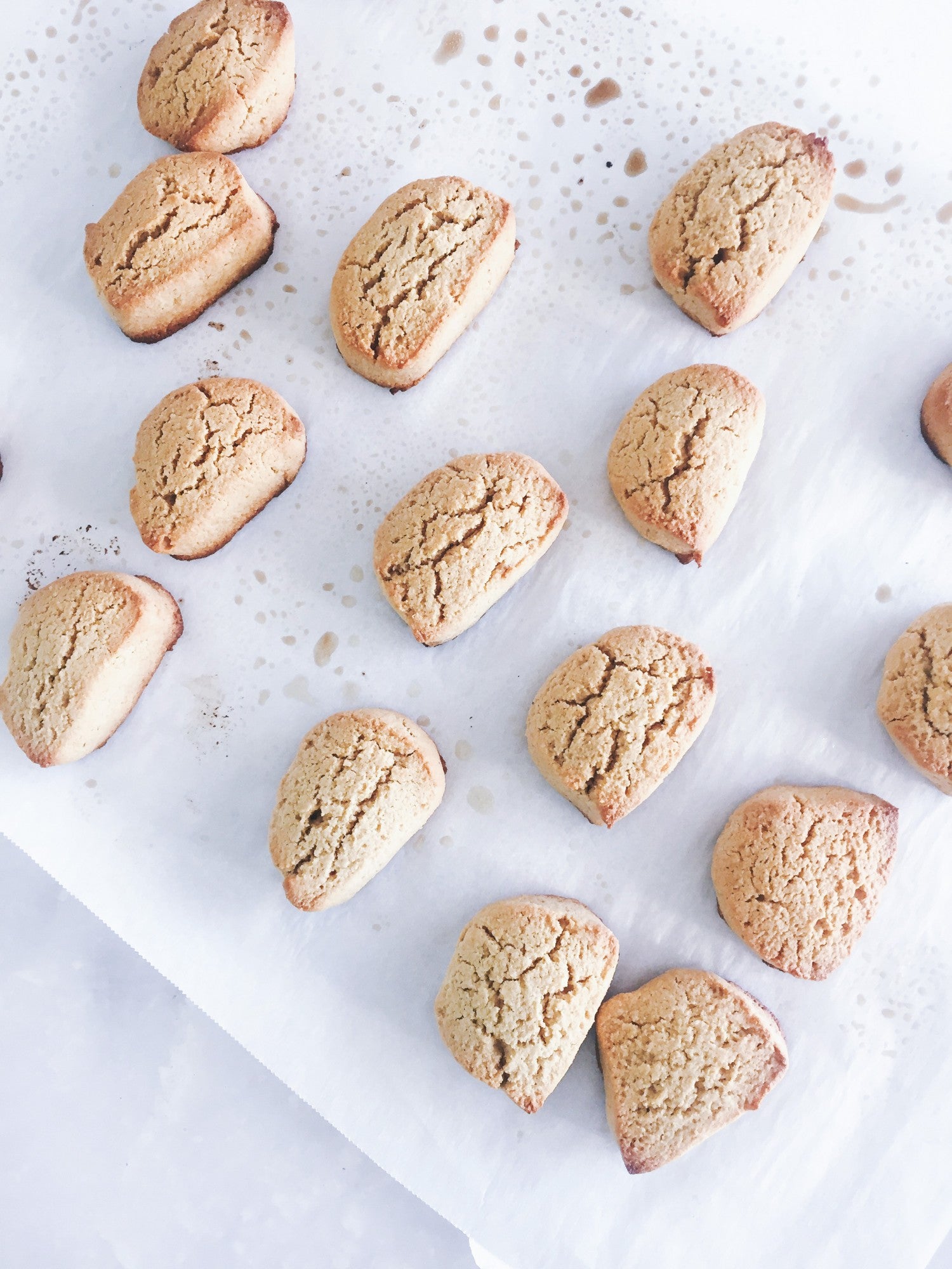 Protein Short Bread Cookies