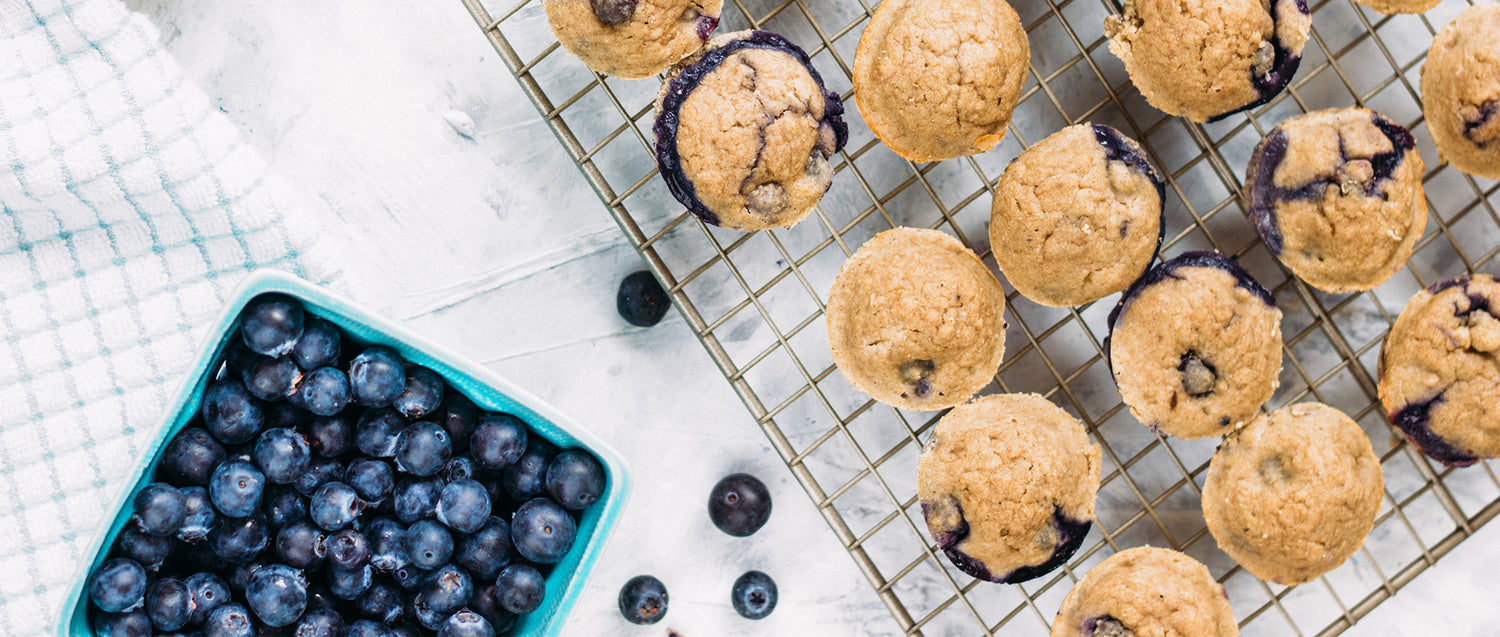 Our New Favorite Summer Snack ~ Blueberry Lemon Zest Muffins