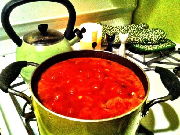 Karena's Turkey Chili Recipe